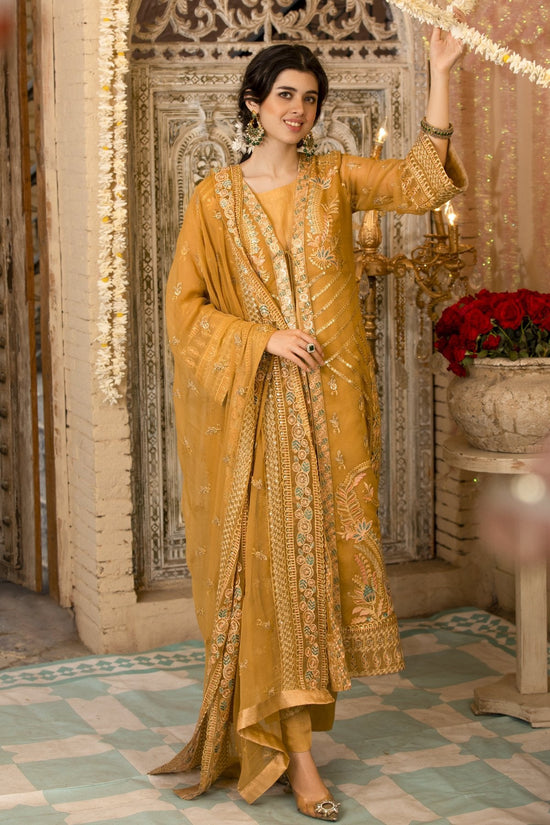 Skin Chiffon Embroidered Dress