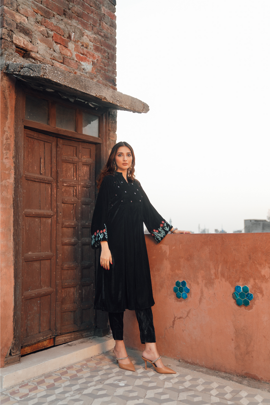 Velvet frock with Embroidered Sleeves