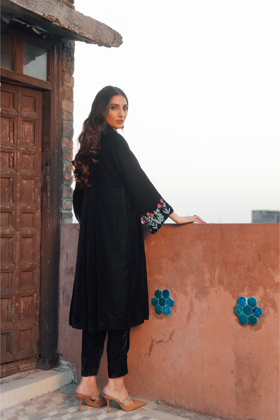 Velvet frock with Embroidered Sleeves