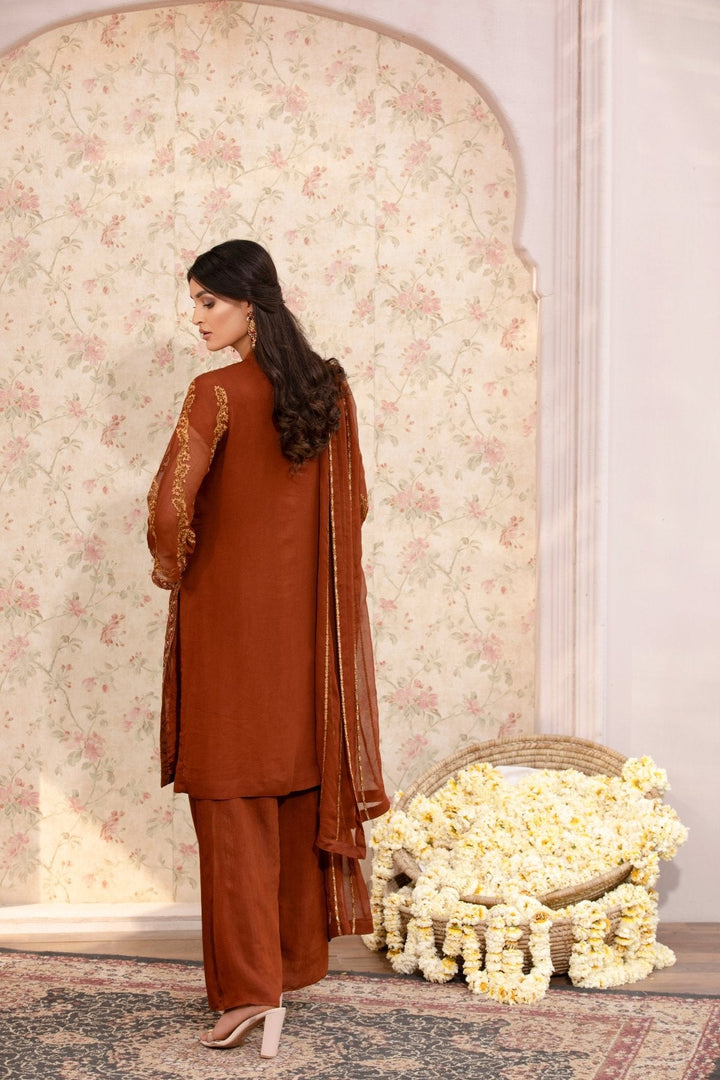 Brown Embroidered Chiffon 3-Piece Suit with Raw Silk Trousers